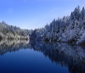 怀孕初期干什么都累