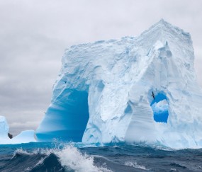 怀孕初期有几滴鲜血
