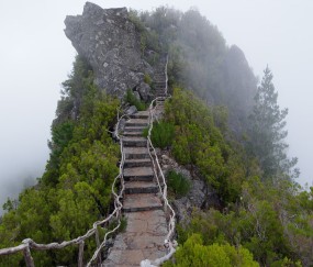 关于怀孕初期白带有点绿色是什么情况的信息