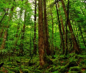 如何重视幼儿的健康