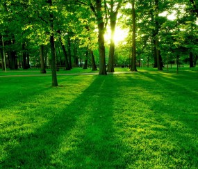 安满孕妇奶粉效果