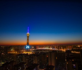 怀孕初期能用蜜蜂栓吗