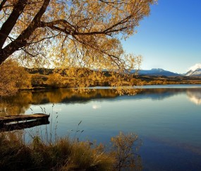 孕妇奶粉喝了后一天大便增多