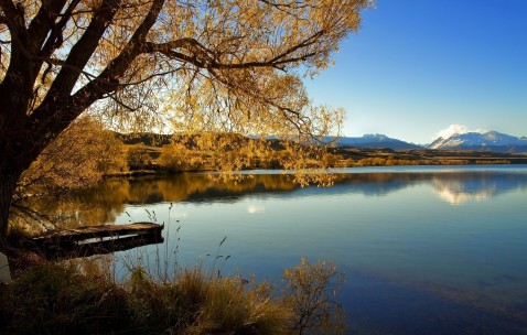 纤维蛋白原1.5严重吗