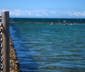 幼儿体育健康视频教程