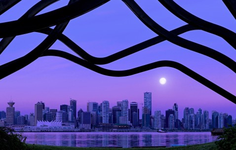 身体游走性疼痛什么病