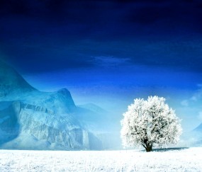 对幼儿健康的维护