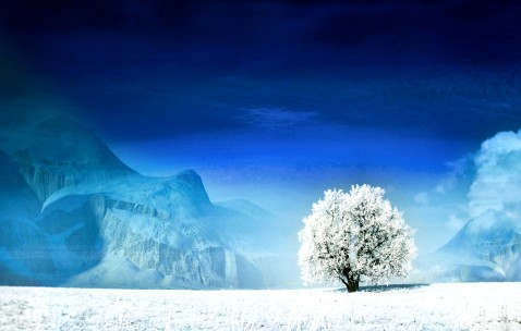 艾尔登法环小偷