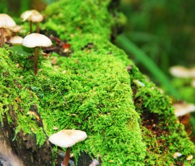 怀孕初期频繁性生活的危害