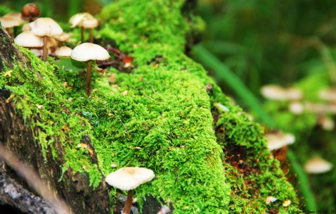 输液后同房怀孕健康吗