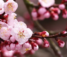 胎动很好证明宝宝很健康是吗