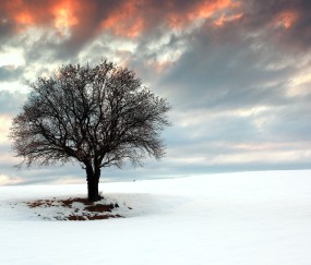 怀孕初期怎么腰疼的厉害
