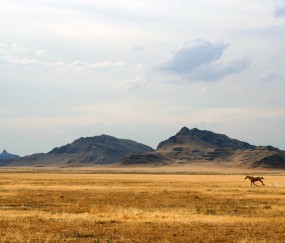 小班健康熊宝宝肚子疼