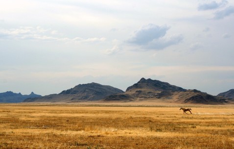 小班健康熊宝宝肚子疼