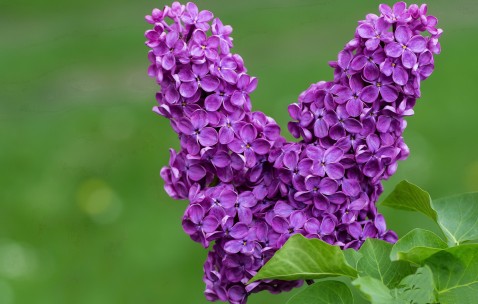 试管成功率跟什么有关