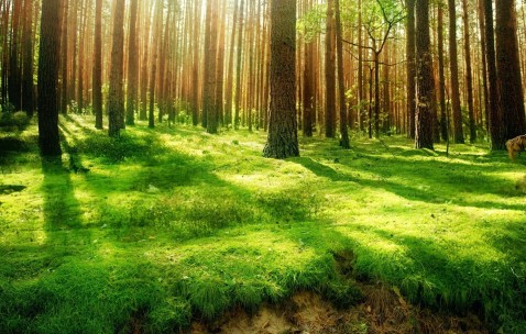 42岁做试管成功率有多大