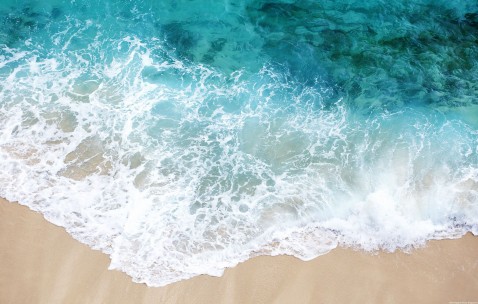 哪家医院试管成功率高