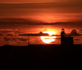 怀孕初期的舌头不舒服