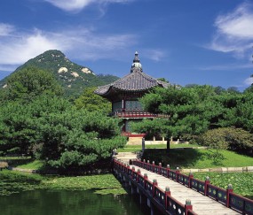 怀孕初期每天吃橘子