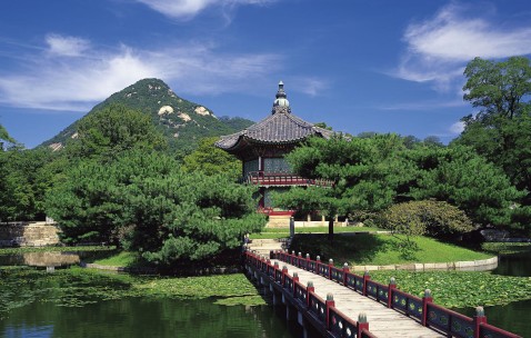 怀孕初期每天吃橘子