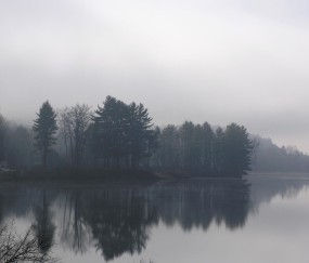 怀孕初期彻夜失眠