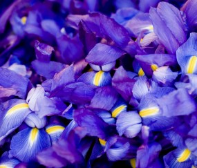 怀孕初期小腹疼不动不疼