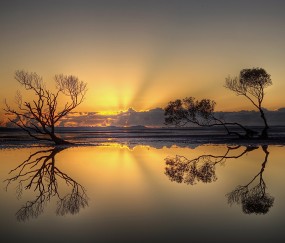 怀孕初期能吃红枣和核桃吗