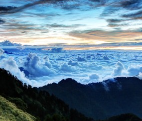 怀孕初期喝了半碗天麻汤