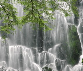 澳洲奶粉适合中国宝宝喝吗
