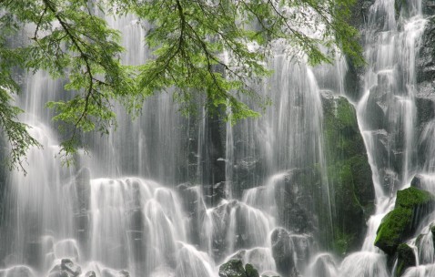 澳洲奶粉适合中国宝宝喝吗