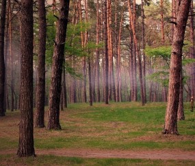 怀孕初期正常感觉头晕