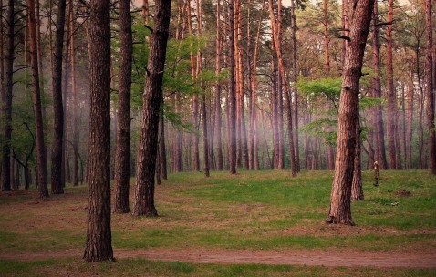 35岁做试管成功率