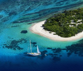 孕妇喝了孕妇奶粉拉肚子怎么办啊