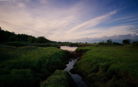 怎样提高试管的成功率