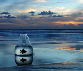 怀孕初期喉咙痛咳痰怎么办