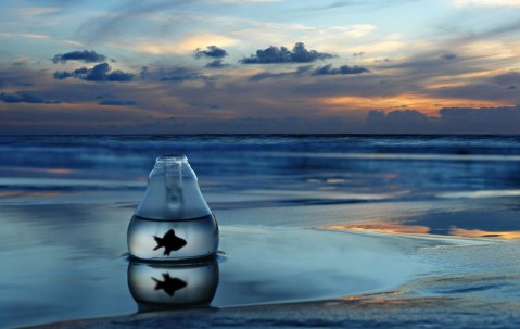 女人喂奶期间吸烟对宝宝健康