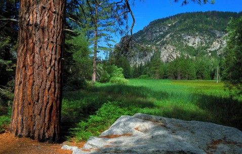 怀孕初期一天吃一顿饭有什么影响