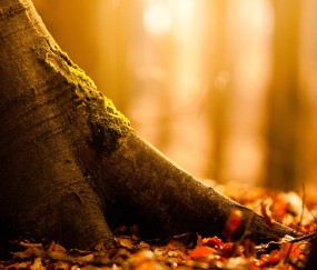 医院试管的成功率