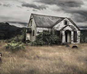 怀孕初期打保胎针可以吃橘子吗