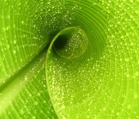 怀孕初期做了个胸透