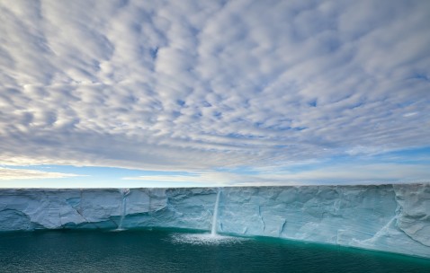 2022腺肌症试管成功率