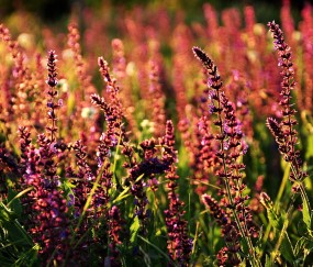 一代试管婴儿成功率有多少