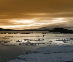 怀孕初期能吃蒸山药吗
