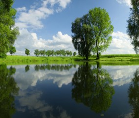 怀孕初期胸口肚子起了很多红点点
