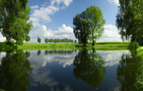 怀孕初期胸口肚子起了很多红点点