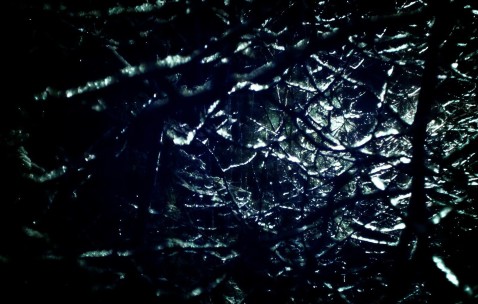 怀孕初期胸疼是一边疼吗