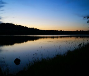 有没甲减的宝妈生的宝宝健康的