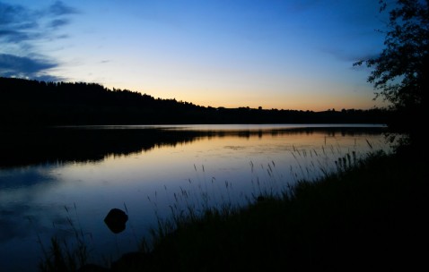 50天的宝宝一天的奶量是多少