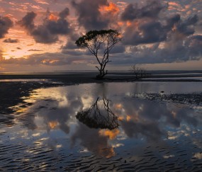 怀孕初期持续不断的胃胀气