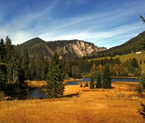 怀孕初期跑了一下没事吧